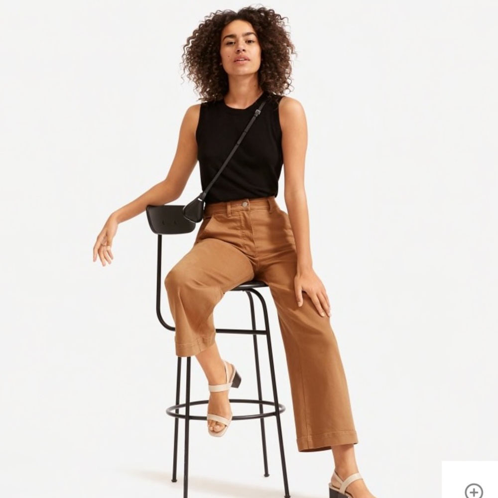 Everlane Wide Leg Crop Super Stretch High Waist